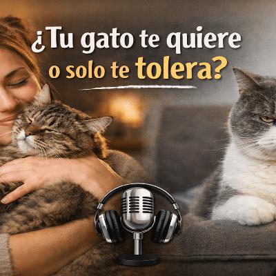 Podcat E18 T3: " Mi gato me quiere o solo me tolera? Podcat E18 T3: " Mi gato me quiere o solo me tolera?