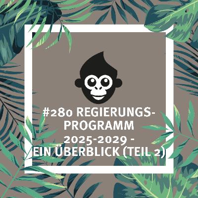 #280 Regierungsprogramm 2025-2029 – ein Überblick (Teil 2)