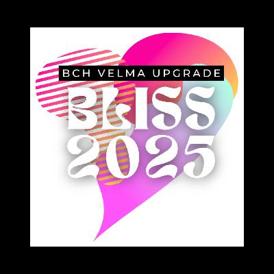 BLISS 2025: Incentives & Security - Milan de Reede