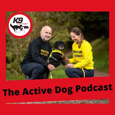 Episode 18: My Anxious Dog & Hands-Free Dog Walking