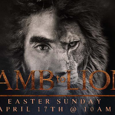 Lamb to Lion
