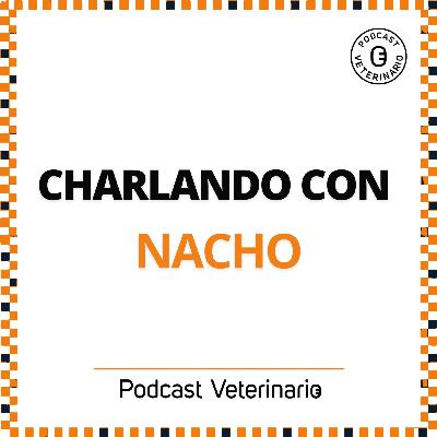 Charlando con Nacho