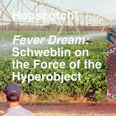 Fever Dream: Samanta Schweblin on the Force of the Hyperobject