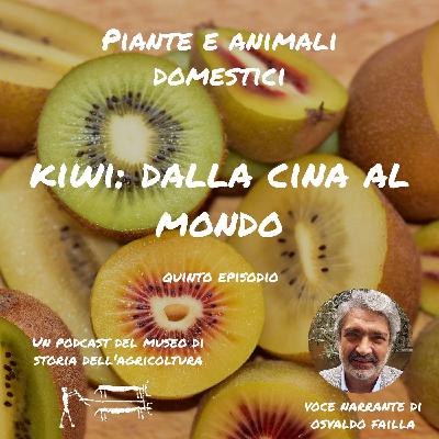 Kiwi: dalla Cina al mondo