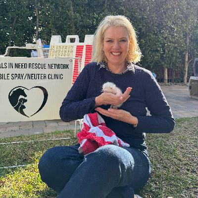 Meet our KNX Helpful Honda Hero of the Week, Christine Brown of Los Angeles! Her non-profit is rescuing and rehabilitating our favorite neighborhood cats and dogs!