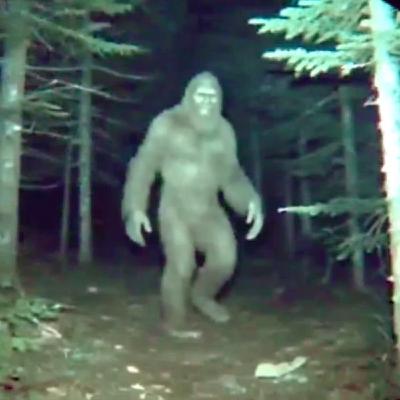 U.S Navy SEALS SPILLS the BEANS about CREATURES They KILLED In North Carolina Mountains