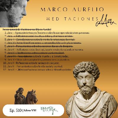 #510 Meditaciones de Marco Aurelio #Día 17 | Libro VIII