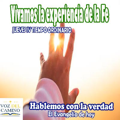 VIVAMOS LA EXPERIENCIA DE LA FE VIVAMOS LA EXPERIENCIA DE LA FE