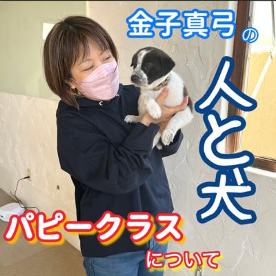 パピークラスってどんなことするの？