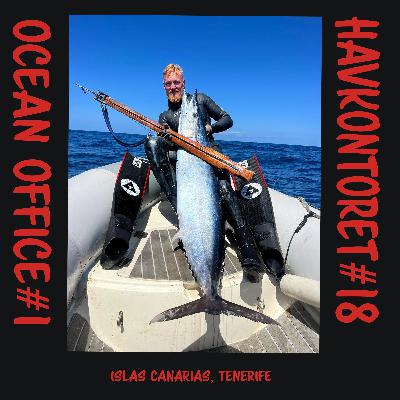 Havkontoret 18 - Ocean Office 1 - Jack Charles Williams