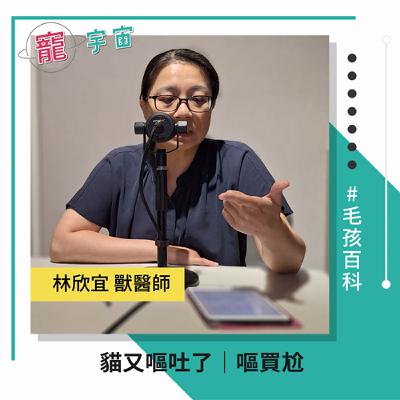 EP84《毛孩百科#37》貓又嘔吐了｜嘔買尬｜feat. 林欣宜 獸醫師