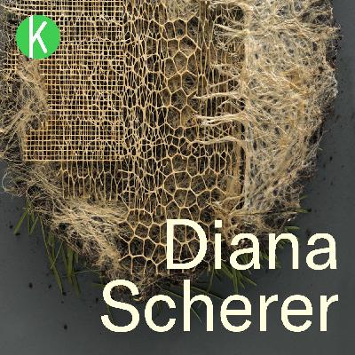 Het belang van biodiversiteit: ook (of juist!) onder de grond (met Liesje Mommer)