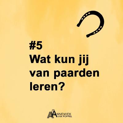 #5 Leiderschap door de bril van Frederika van der Meer #5 Leiderschap door de bril van Frederika van der Meer