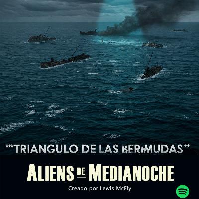 1x01 - Las Bermudas de Triángulos?