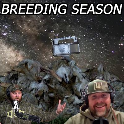 Coyote Breeding Season | Geoff Nemnich (Lucky Duck)