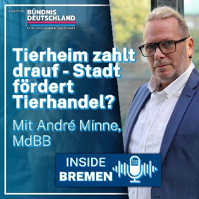 Tierheim zahlt drauf – Stadt fördert Tierhandel?