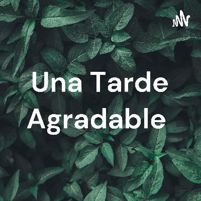 Una tarde agradable
