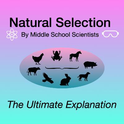 The Ultimate Explanation