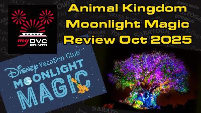 Animal Kingdom Moonlight Magic Review – October 2025
