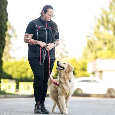 86. 10 Subtle Signs Your Dog's Reactivity Is Improving