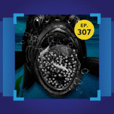 ฟ้องปิดปาก-สร้างภาพใหม่ ให้ ‘ปลาหมอคางดำ’ | 101 In Focus EP.307