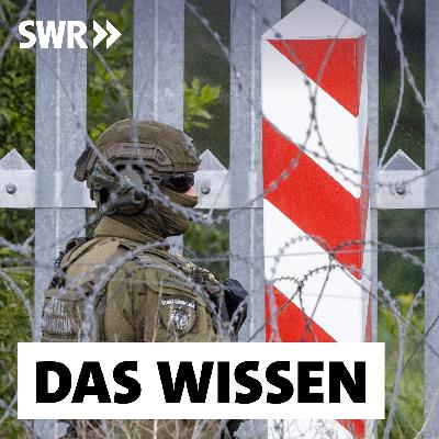 Migranten an der EU-Außengrenze – Wie Belarus Druck und Polen dicht macht