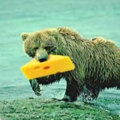 Black Bear Ate Henry Plant (ep. 87)