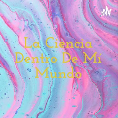 Experimentos caseros