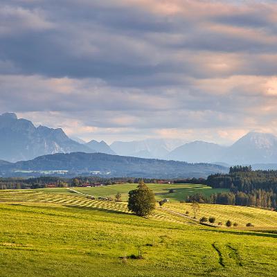 Dans la campagne de Tolstoï