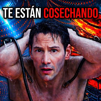 MATRIX LO SABÍA: La Advertencia Real que la Humanidad Ignoró MATRIX LO SABÍA: La Advertencia Real que la Humanidad Ignoró