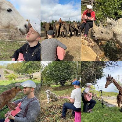 Animals & The Healing Power of Music with Musician PLUMES