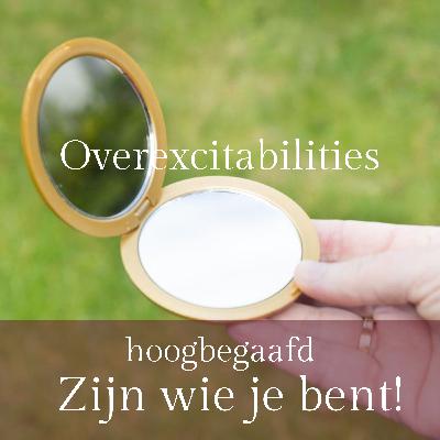 7.Overexcitabilities 7.Overexcitabilities
