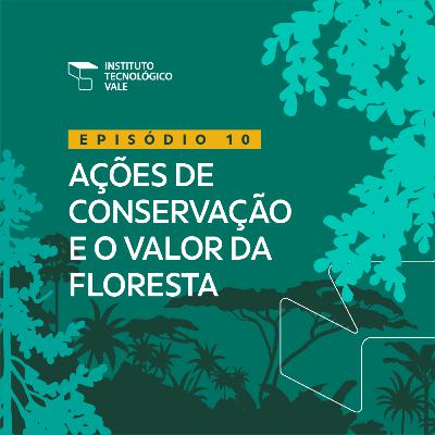 Ações de conservação e o valor da floresta