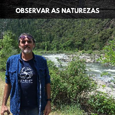 #15 OBSERVAR AS NATUREZAS