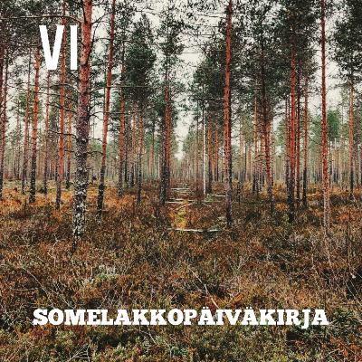06 - Somelakkopäiväkirja