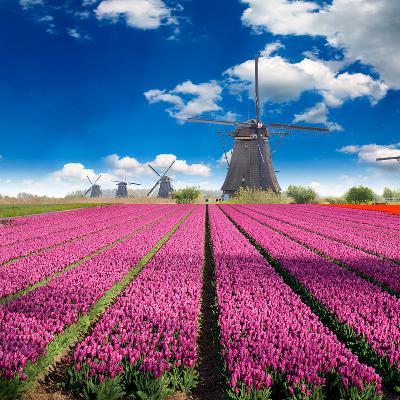 #9F, la revolución precoz y los feminicidios (Ingrid Escamilla y Fátima) #9F, la revolución precoz y los feminicidios (Ingrid Escamilla y Fátima)