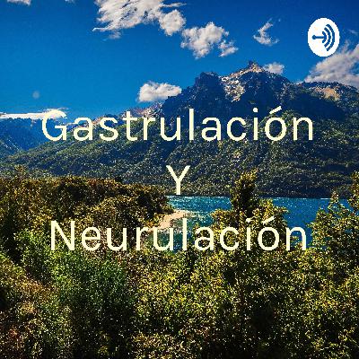 Gastrulación y neurulación