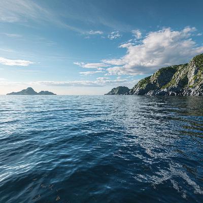 Тёмный Легион - Тихий Океан