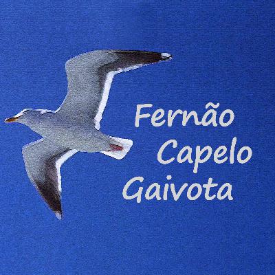 Fernão Capelo Gaivota - capítulo 2
