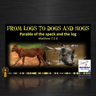 Parable of the Speck in the Eye (3): From Logs to Dogs & Hogs Parable of the Speck in the Eye (3): From Logs to Dogs & Hogs