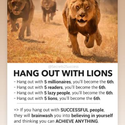 They Can’t Beat You, No One Can Beat You 🐺🦁👑🥇🏆🔥 They Can’t Beat You, No One Can Beat You 🐺🦁👑🥇🏆🔥