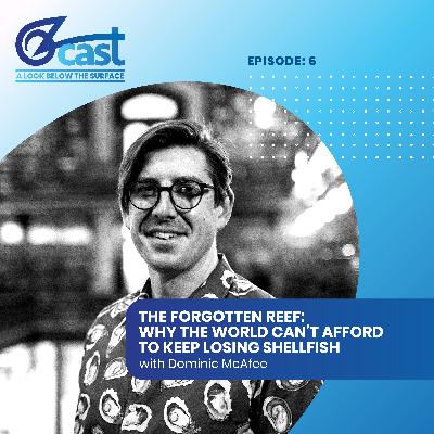 The Forgotten Reef: Why the world can't afford to keep losing shellfish The Forgotten Reef: Why the world can't afford to keep losing shellfish