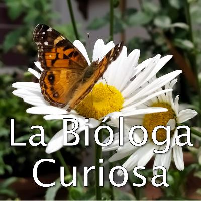Qué hace un biólog@, cómo llegamos a ser biólogas y la Biología en la facultad de Ciencias