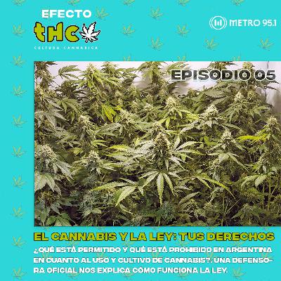 El cannabis y la ley: conocé tus derechos | Dra. María Victoria Baca Paunero
