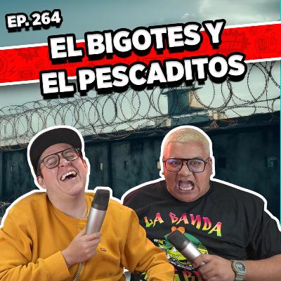 Episodio #264 / EL BIGOTES Y EL PESCADITOS Episodio #264 / EL BIGOTES Y EL PESCADITOS
