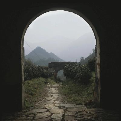 颜长江，用脚步丈量时光