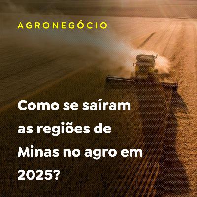 Como se saíram as regiões de Minas no agro em 2025?