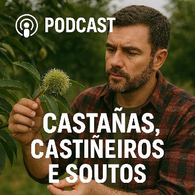 CASTAÑAS, CASTIÑEIROS E SOUTOS, por David Castellanos, Enxeñeiro Técnico Forestal. CASTAÑAS, CASTIÑEIROS E SOUTOS, por David Castellanos, Enxeñeiro Técnico Forestal.