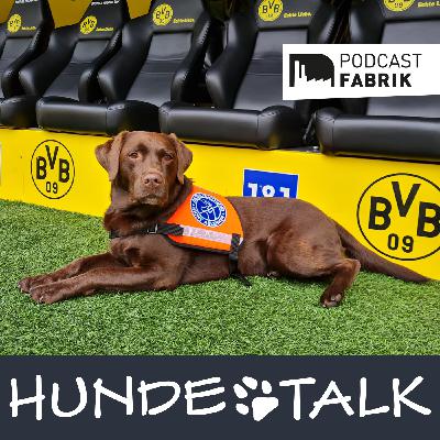 Assistenzhunde - Toto & Hanni 2.0 Assistenzhunde - Toto & Hanni 2.0