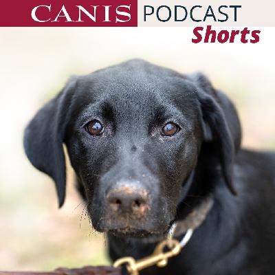 Shorts: Bindung – was Studien zeigen